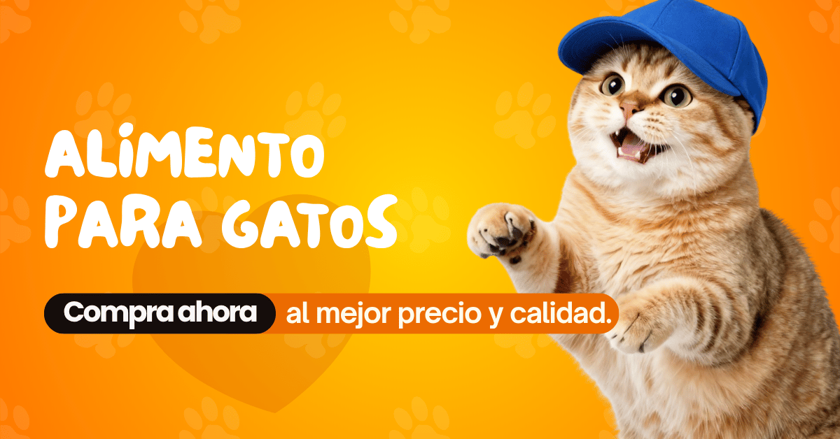 Comida para Gatos